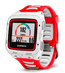  GARMIN       2015